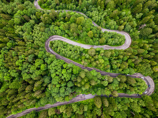 Long and winding rural road leading through dense green pine forest.