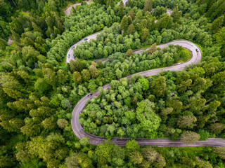 Long and winding rural road leading through dense green pine forest.