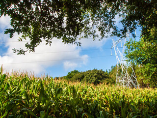 Torre de distribucion de elctricidad de alta tension en medio de campos de labranza en Galicia