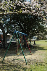 公園、遊具と芝生