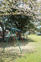 Fototapeta premium 公園、遊具と芝生