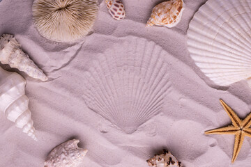Starfish and seashells on dune sand. Top view Vacation background.