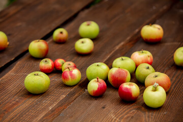 Apples on a table in a garden
