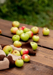 Apples on a table in a garden