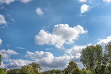 Fluffy white clouds on background of blue sky over the park.