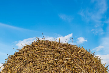Fototapeta na wymiar Haystack against the blue sky. Livestock feed, agriculture.