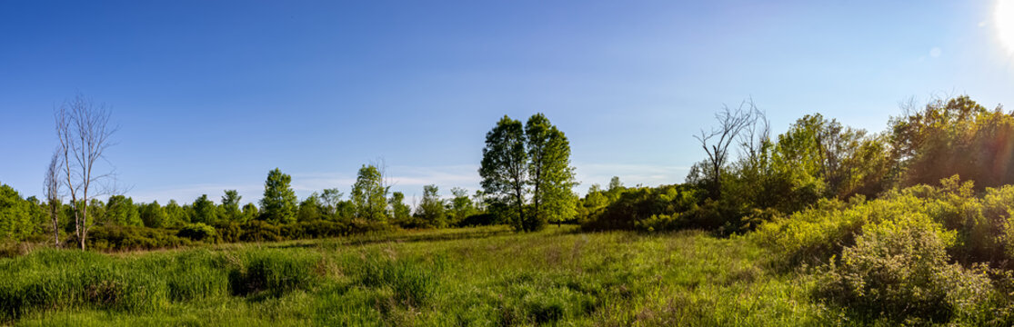 Colour panorama landscape photograph of a hiking trail at Lemoine Point conservation area in Kingston, Ontario Canada during a bright sunny summer day.