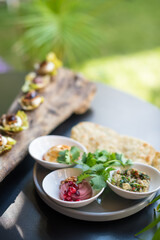 Assorted Hummus Dips with Flatbread and Fresh Coriander Leaves
