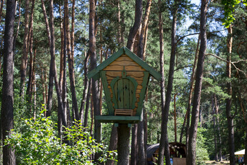 The house for squirrel in the forest.