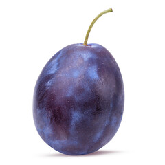 Plum isolated on white background with clipping path