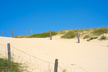 Fototapeta na wymiar Beach view dunes. Background summer sky. Natural background. Scenic travel background. Blue background. High quality photo