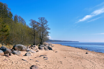 Trees and big stones at Baltic sea shore near Tuja in Old Rocks, Veczemju klintis  Latvia