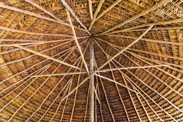 Traditional roof construction inside a hut of the Amazon Rainforest, Ecuador.