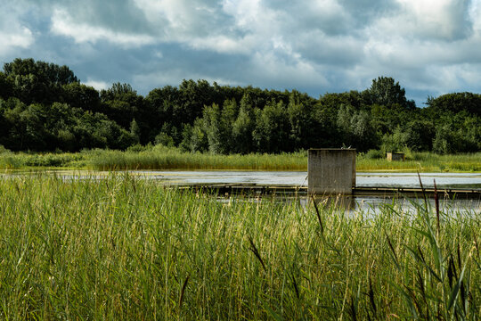 Brockholes Nature Reserve