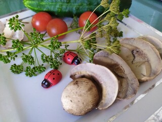Fresh mushrooms  red tomatoes ladybugs sprigs of dill on the white plate