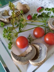 Fresh mushrooms  red tomatoes ladybugs sprigs of dill on the white plate