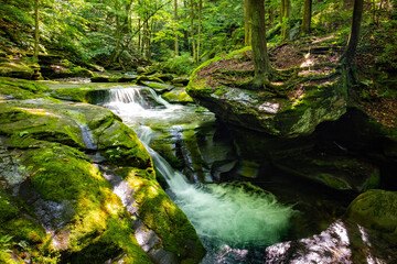 Fototapeta premium Beautiful rocky sundown forest river cascades summer day