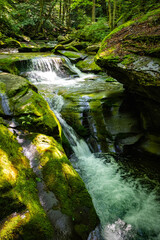 Beautiful rocky sundown forest river cascades summer day
