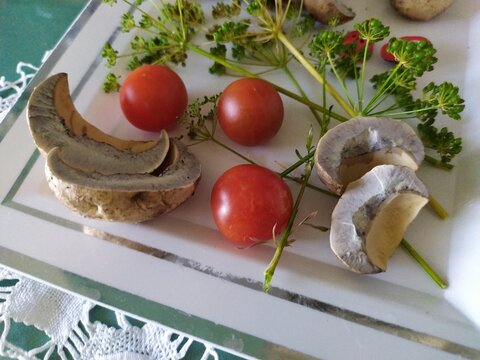 Fresh edible mushrooms red tomatoes sprigs of dill   rasks on the white plate
