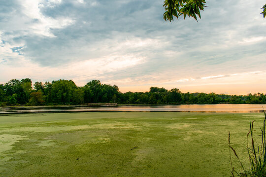 Beautiful evening at Tobico Marsh & Frank N. Andersen Nature Trail