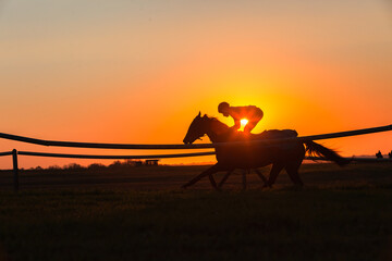 Race Horse Rider Training Galloping Sunrise Silhouette Panoramic Landscape