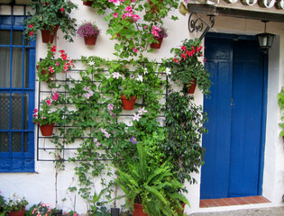 Blue door with flower pots on wall