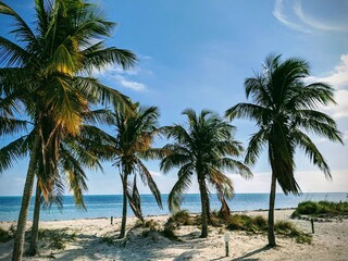 Fototapeta na wymiar Key Biscayne Perfect Day at the Beach