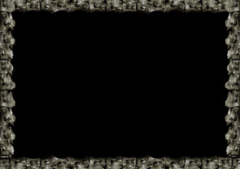 Black Frame With Animal Bones Borders