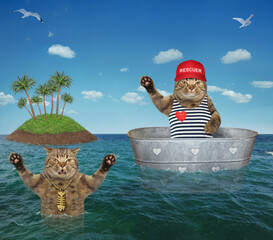 The beige cat lifeguard in a red cap is drifting in a metal oval wash tub to help a drowning cat in...