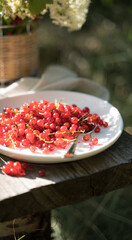 Red currants on a white plate on a wooden Board in the garden in the sun. Lunch in the nature. Concept of eating in nature.