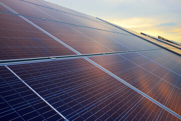 Solar panels in a row at sunset