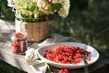 Still life with red currant on a background of white flowers on a wooden Board with a linen napkin in the garden. Lunch in the nature. Concept of eating in nature.