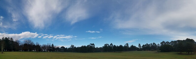 Morning panoramic view of a beautiful park with green grass, tall trees and blue puffy sky, Fagan...