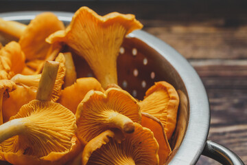 Forest orange chanterelle mushrooms on brown wooden background - obrazy, fototapety, plakaty