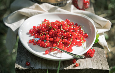 Red currants on a white plate on a wooden Board in the garden in the sun. Lunch in the nature. Concept of eating in nature.