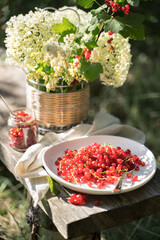 Still life with red currant on a background of white flowers on a wooden Board with a linen napkin in the garden. Lunch in the nature. Concept of eating in nature.