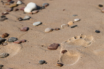 Fototapeta na wymiar Close up of a footprint on a seaside beach.