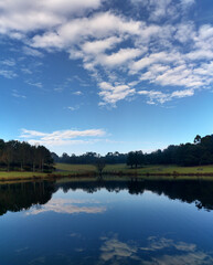 Obraz premium Beautiful morning view of a still pond in a park with stunning reflections of blue puffy sky and tall trees, Fagan park, Galston, Sydney, New South Wales, Australia