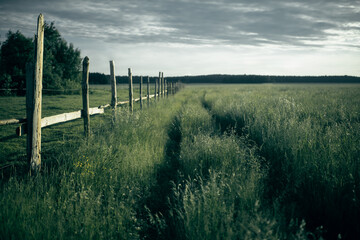 Wooden fence on a beautiful green meadow with a road