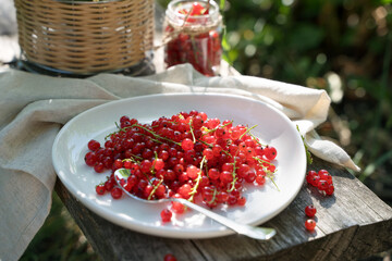 Red currants on a white plate on a wooden Board in the garden in the sun. Lunch in the nature. Concept of eating in nature.