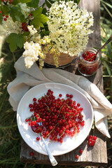 Still life with red currant on a background of white flowers on a wooden Board with a linen napkin in the garden. Lunch in the nature. Concept of eating in nature.