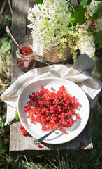 Still life with red currant on a background of white flowers on a wooden Board with a linen napkin in the garden. Lunch in the nature. Concept of eating in nature.