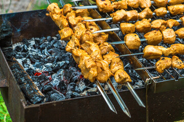 Assorted delicious grilled meat over the coals on a barbecue