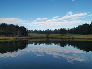 Beautiful morning view of a still pond in a park with stunning reflections of blue puffy sky and tall trees, Fagan park, Galston, Sydney, New South Wales, Australia