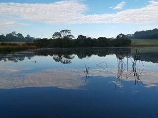 Beautiful morning view of a still pond in a park with stunning reflections of blue puffy sky and...