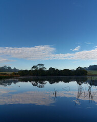 Beautiful morning view of a still pond in a park with stunning reflections of blue puffy sky and tall trees, Fagan park, Galston, Sydney, New South Wales, Australia