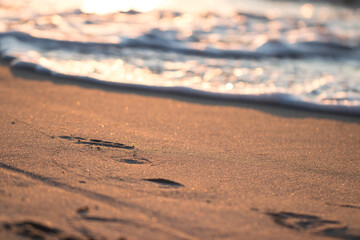 footprint on a wet sandy beach during sunset.