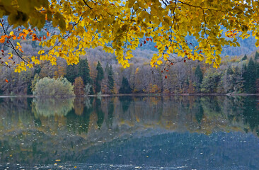 Autumn forest with reflection on lake