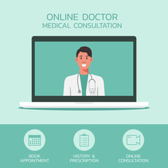 online doctor consultation concept, medical staff on laptop with icon, healthcare and technology, vector flat illustration