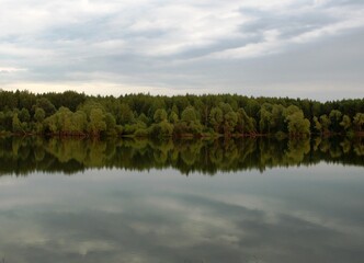 Fototapeta premium reflection of trees in water